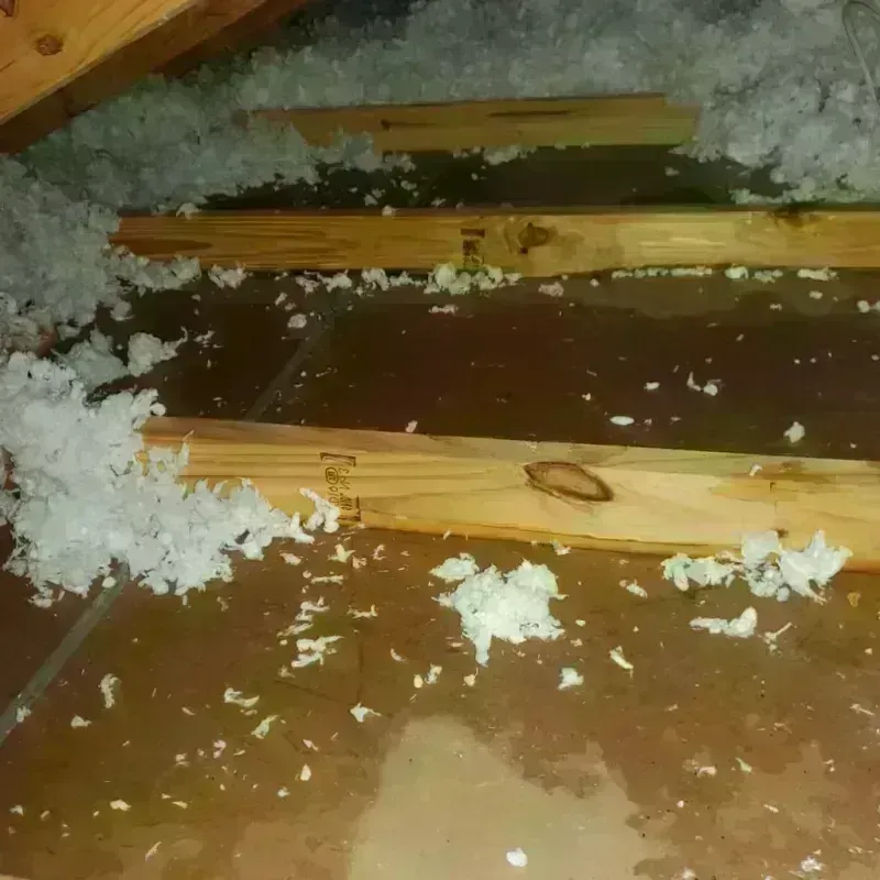 Attic Water Damage in Jackson, MO