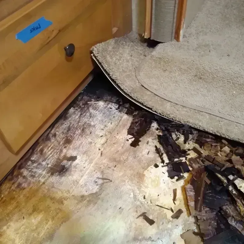 Wood Floor Water Damage in Jackson, MO